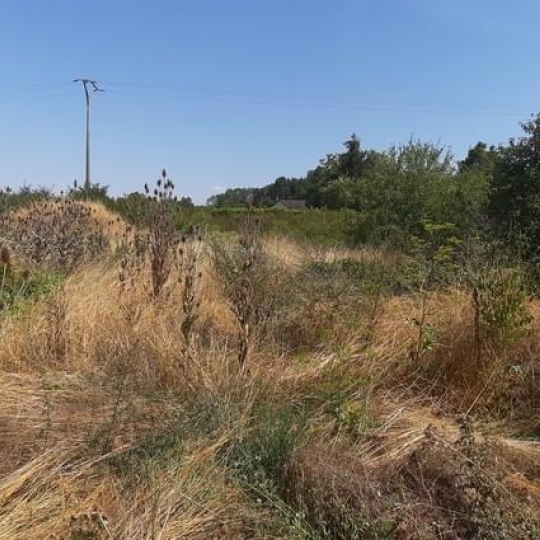 ROMILLY IMMO : Terrain | CHATRES (10510) | m2 | 75 000 € 