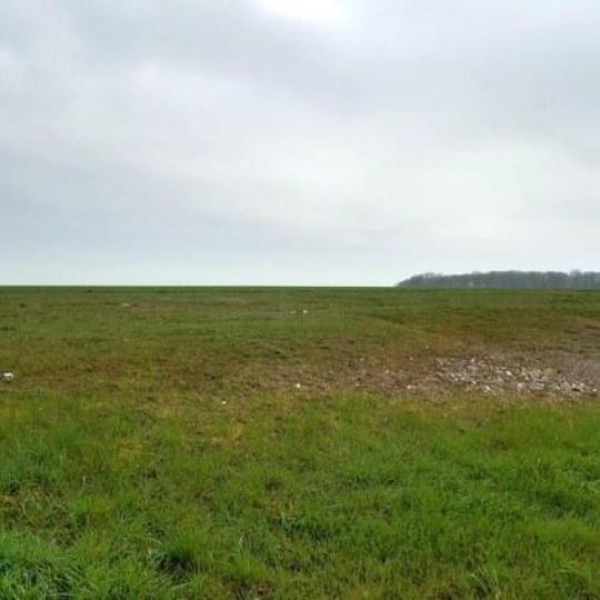 ROMILLY IMMO : Terrain | FERREUX-QUINCEY (10400) | 0 m2 | 40 000 € 