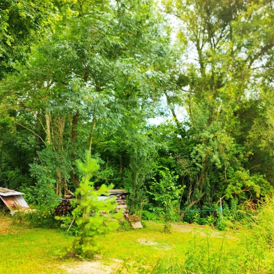  ROMILLY IMMO : Terrain | MAIZIERES-LA-GRANDE-PAROISSE (10510) | 0 m2 | 9 800 € 