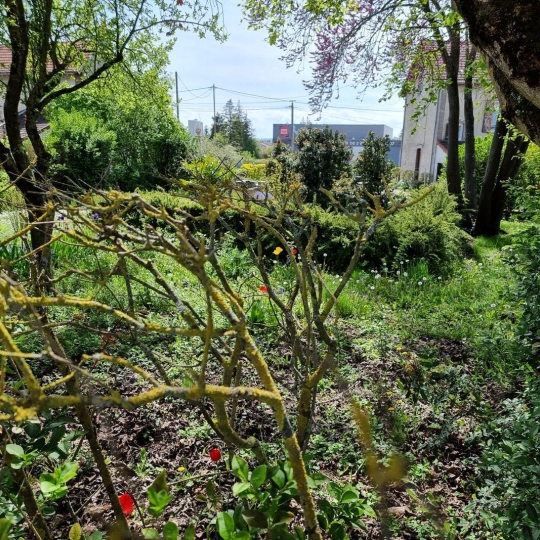  ROMILLY IMMO : Terrain | ROMILLY-SUR-SEINE (10100) | 0 m2 | 38 000 € 