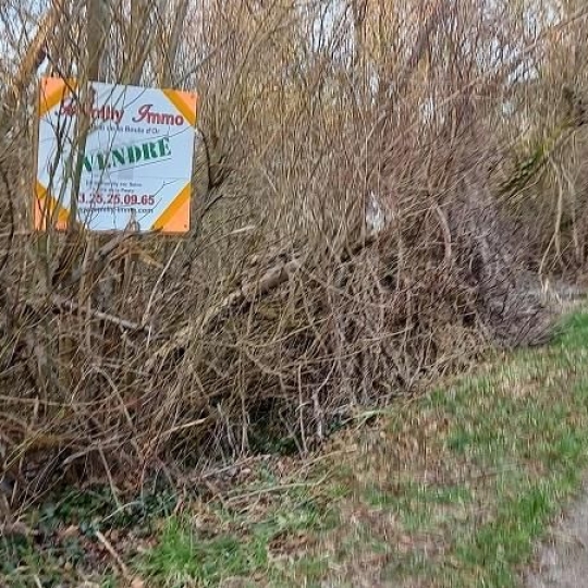  ROMILLY IMMO : Terrain | CRANCEY (10100) | 0 m2 | 9 000 € 