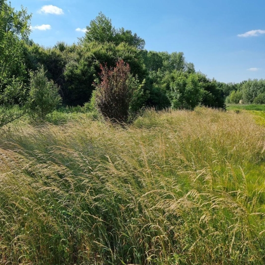  ROMILLY IMMO : Ground | CRANCEY (10100) | 0 m2 | 2 000 € 