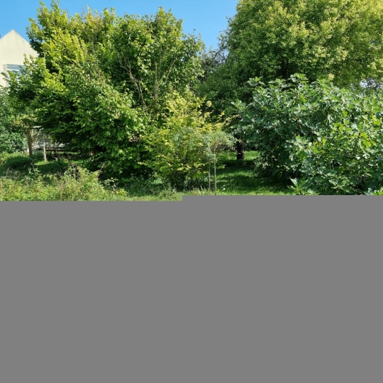  ROMILLY IMMO : Terrain | ROMILLY-SUR-SEINE (10100) | 0 m2 | 53 500 € 