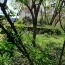  ROMILLY IMMO : Terrain | ROMILLY-SUR-SEINE (10100) | 0 m2 | 38 000 € 