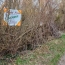  ROMILLY IMMO : Terrain | CRANCEY (10100) | 0 m2 | 9 000 € 