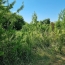  ROMILLY IMMO : Ground | CRANCEY (10100) | 0 m2 | 2 000 € 