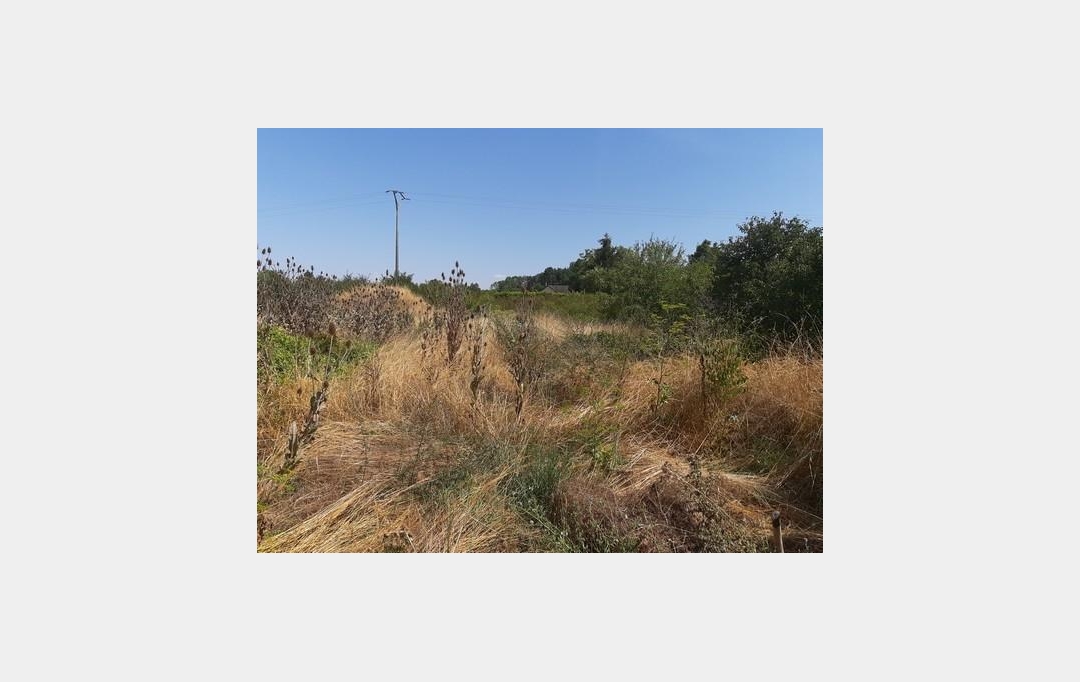 ROMILLY IMMO : Terrain | CHATRES (10510) | 0 m2 | 75 000 € 