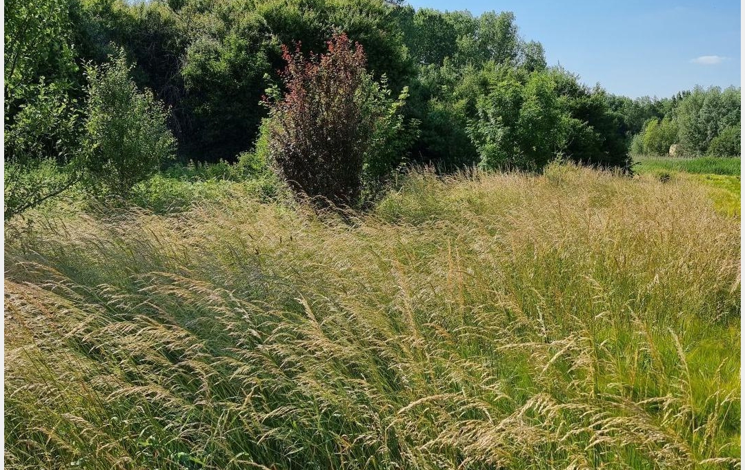 ROMILLY IMMO : Ground | CRANCEY (10100) | 0 m2 | 2 000 € 