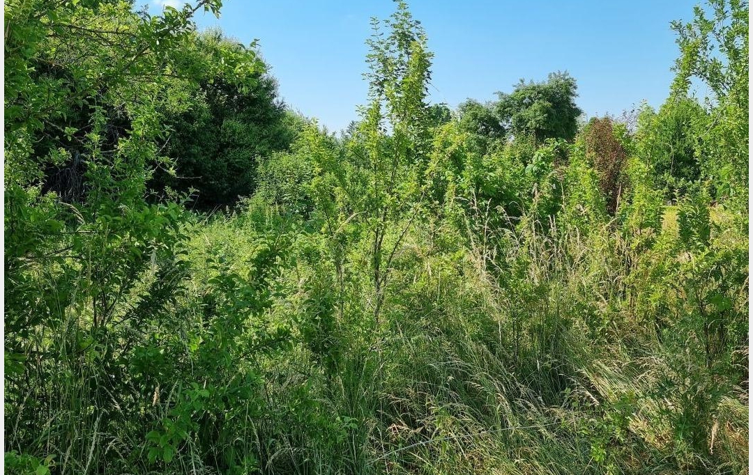 ROMILLY IMMO : Ground | CRANCEY (10100) | 0 m2 | 2 000 € 