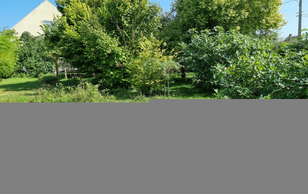 ROMILLY IMMO : Terrain | ROMILLY-SUR-SEINE (10100) | 0 m2 | 53 500 € 