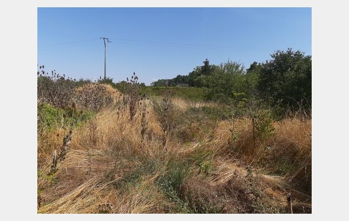  ROMILLY IMMO Terrain | CHATRES (10510) | 0 m2 | 75 000 € 