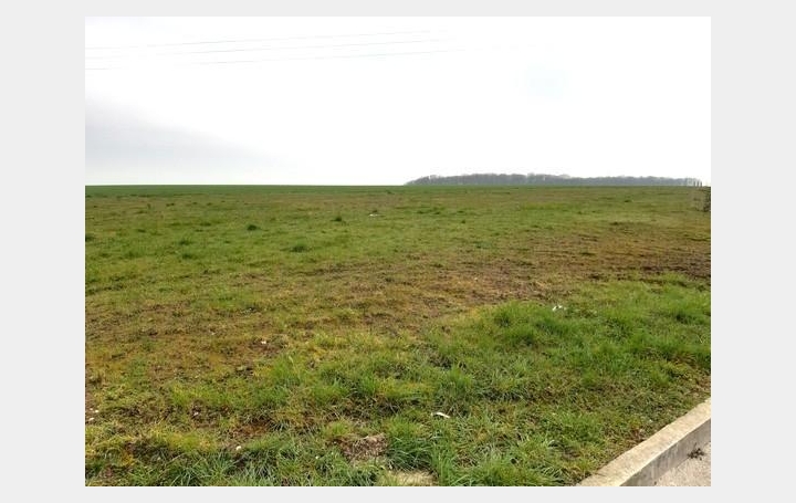 Terrain   FERREUX-QUINCEY   40 000 € 