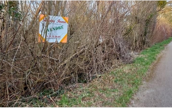  ROMILLY IMMO Terrain | CRANCEY (10100) | 0 m2 | 9 000 € 
